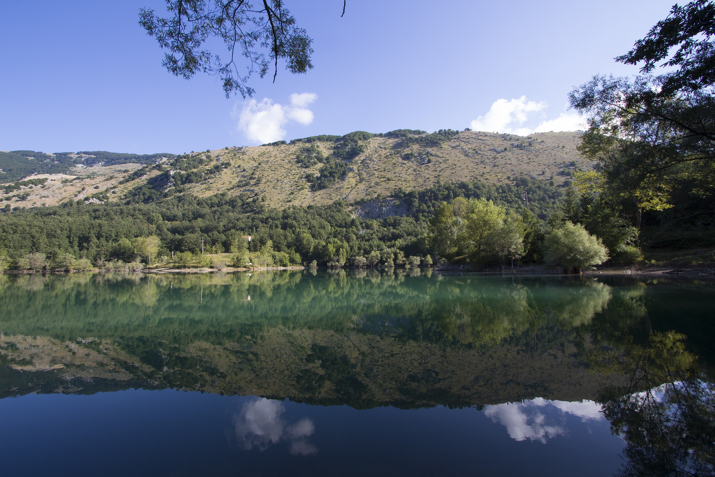 Reflections in the Lake...