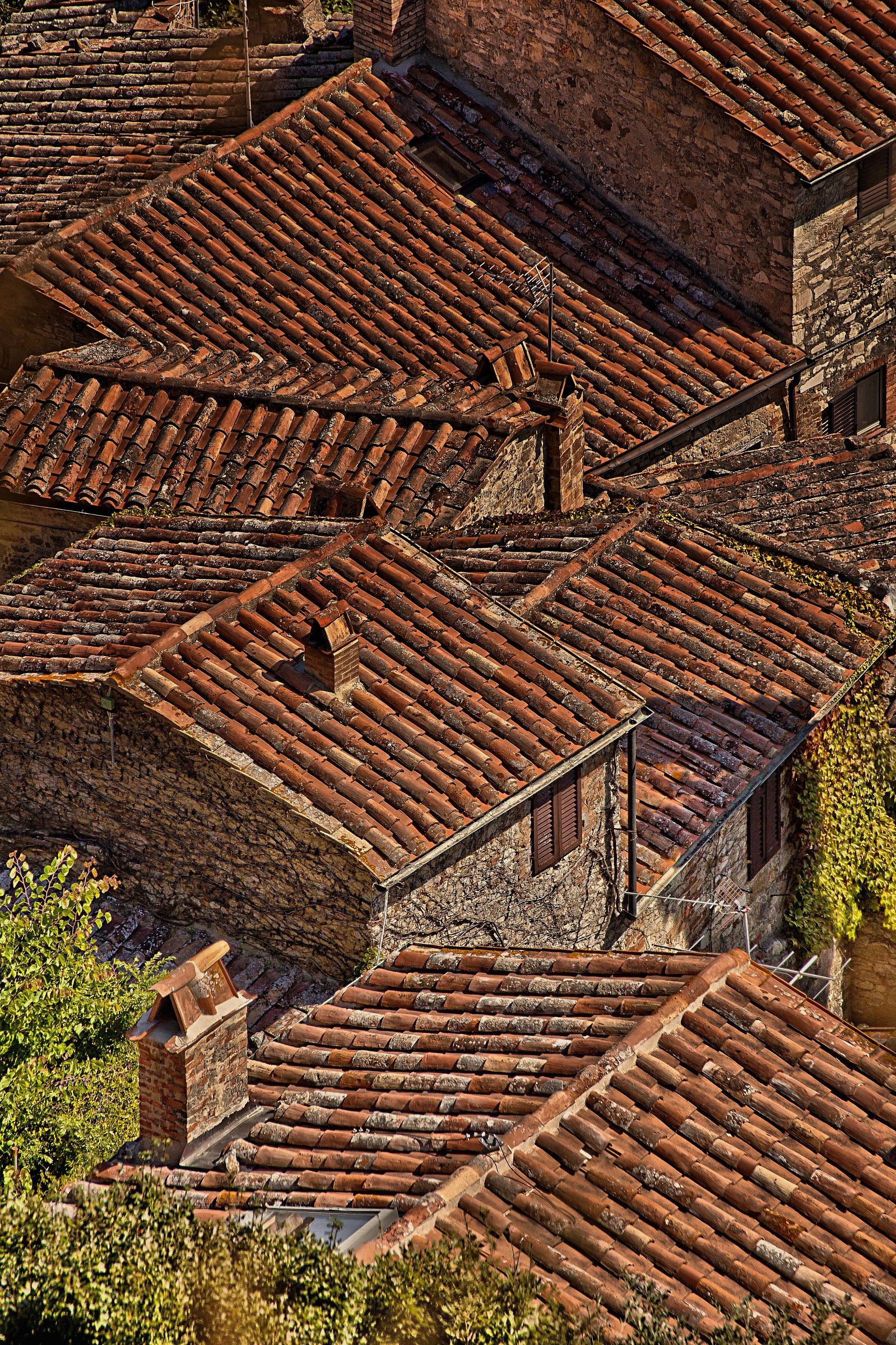 Roofs of the Val d'Orcia...