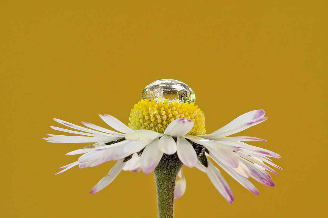 La sfera di cristallo...