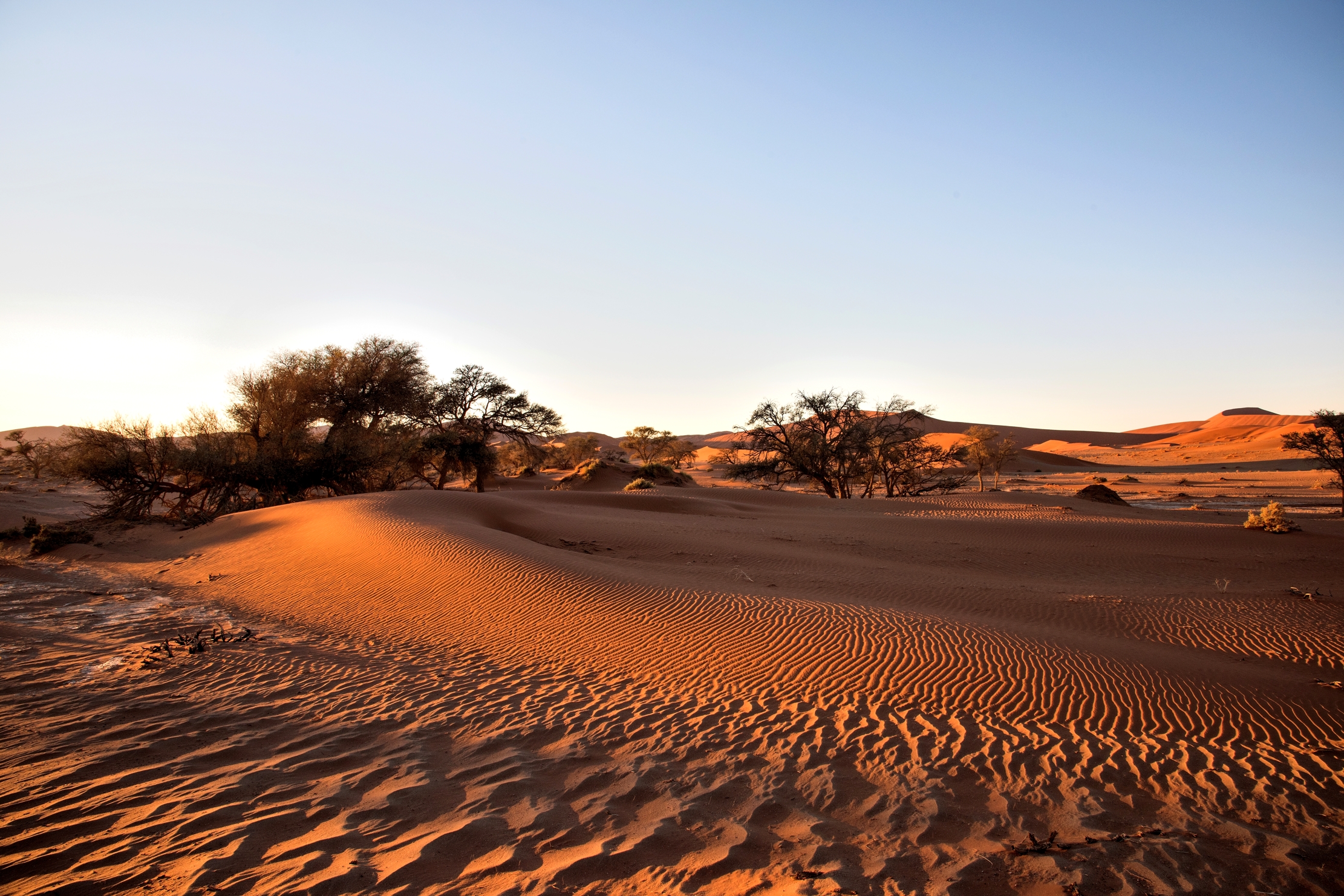 Deserto del Namib...