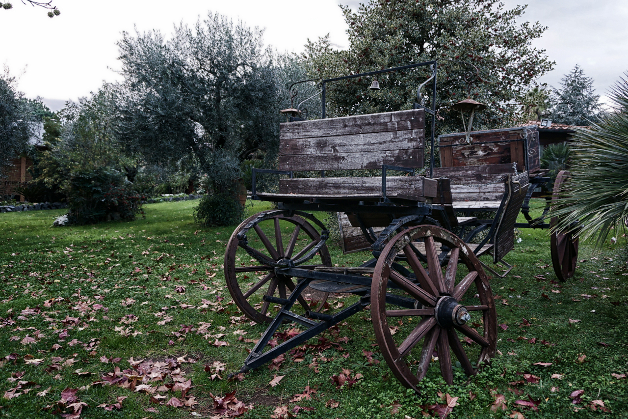 A horse-drawn carriage...