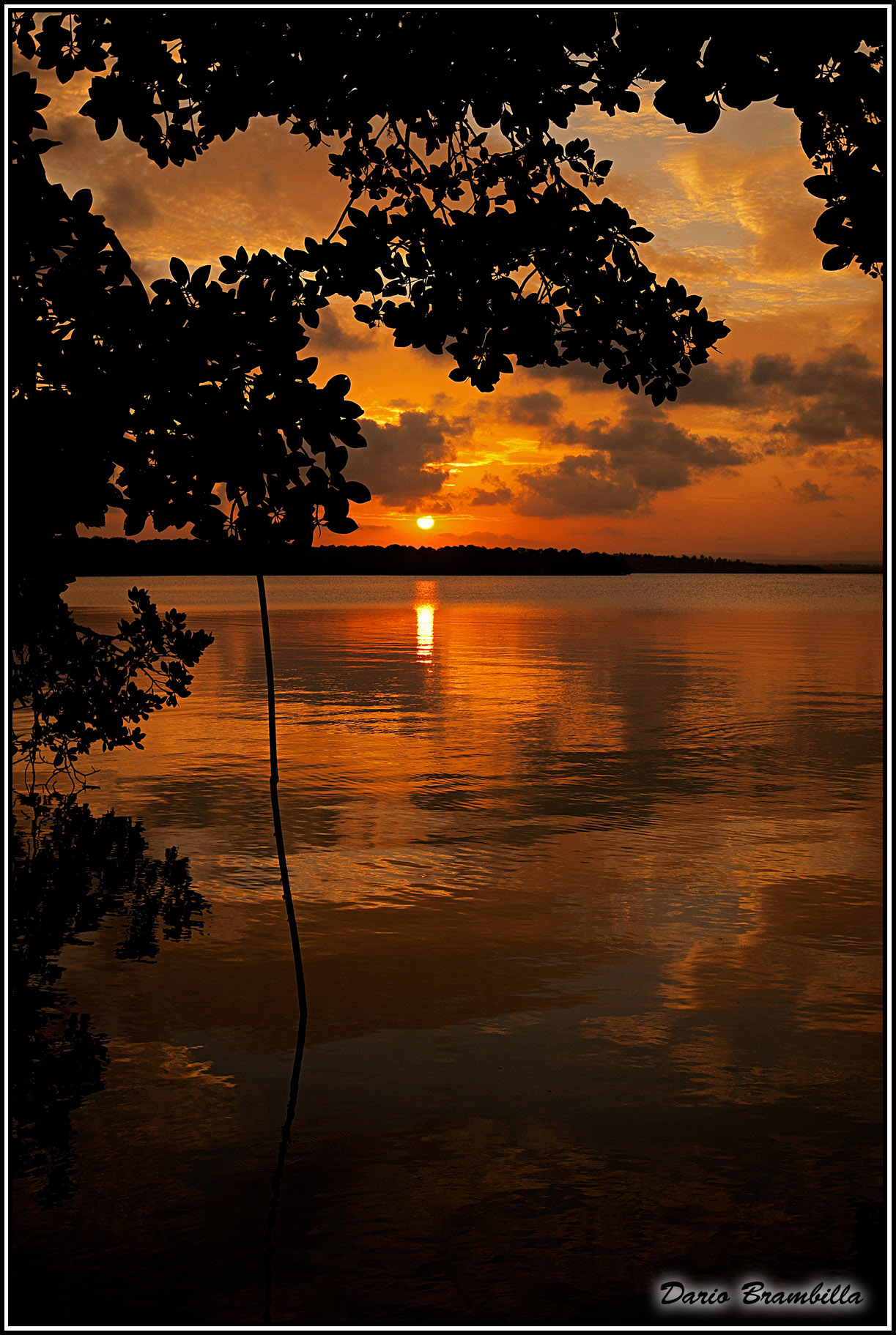 Sunset through the mangroves...