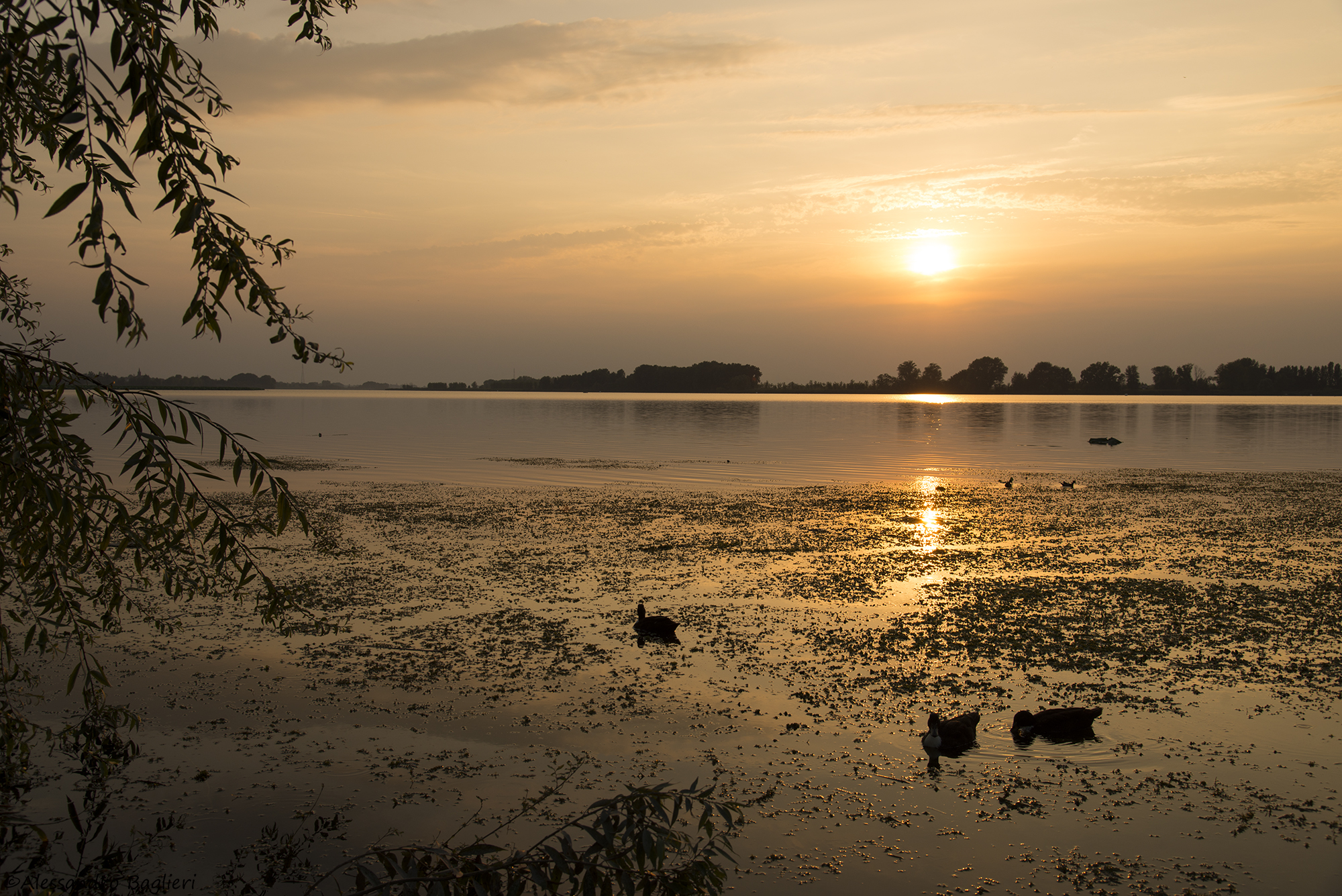 Sunset along the lake...