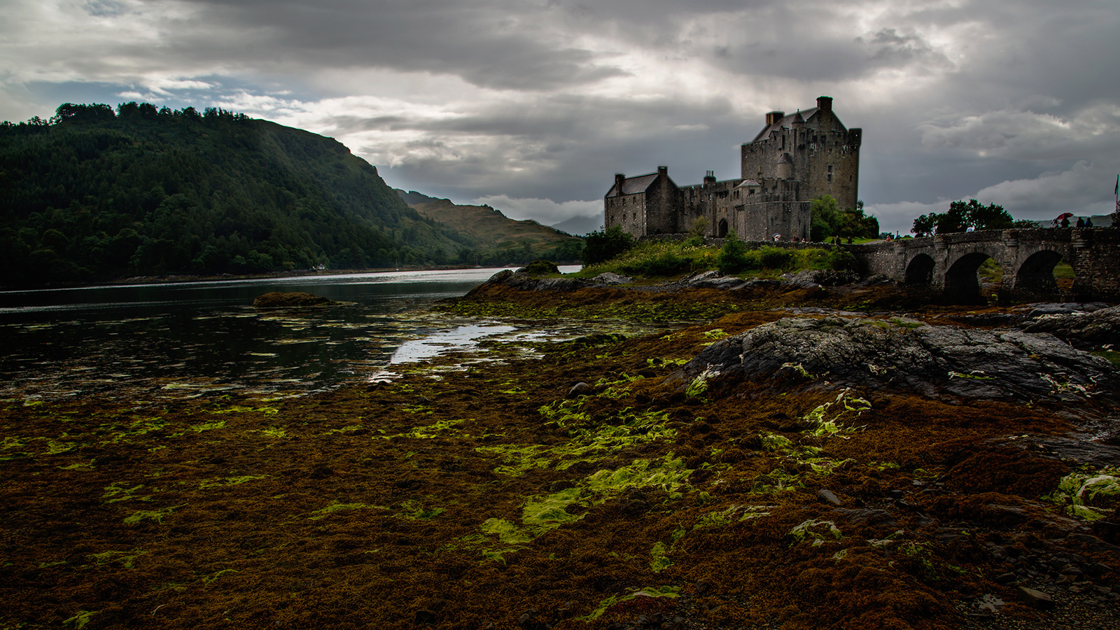 Eilean Donan Castle - Highlands 2014...