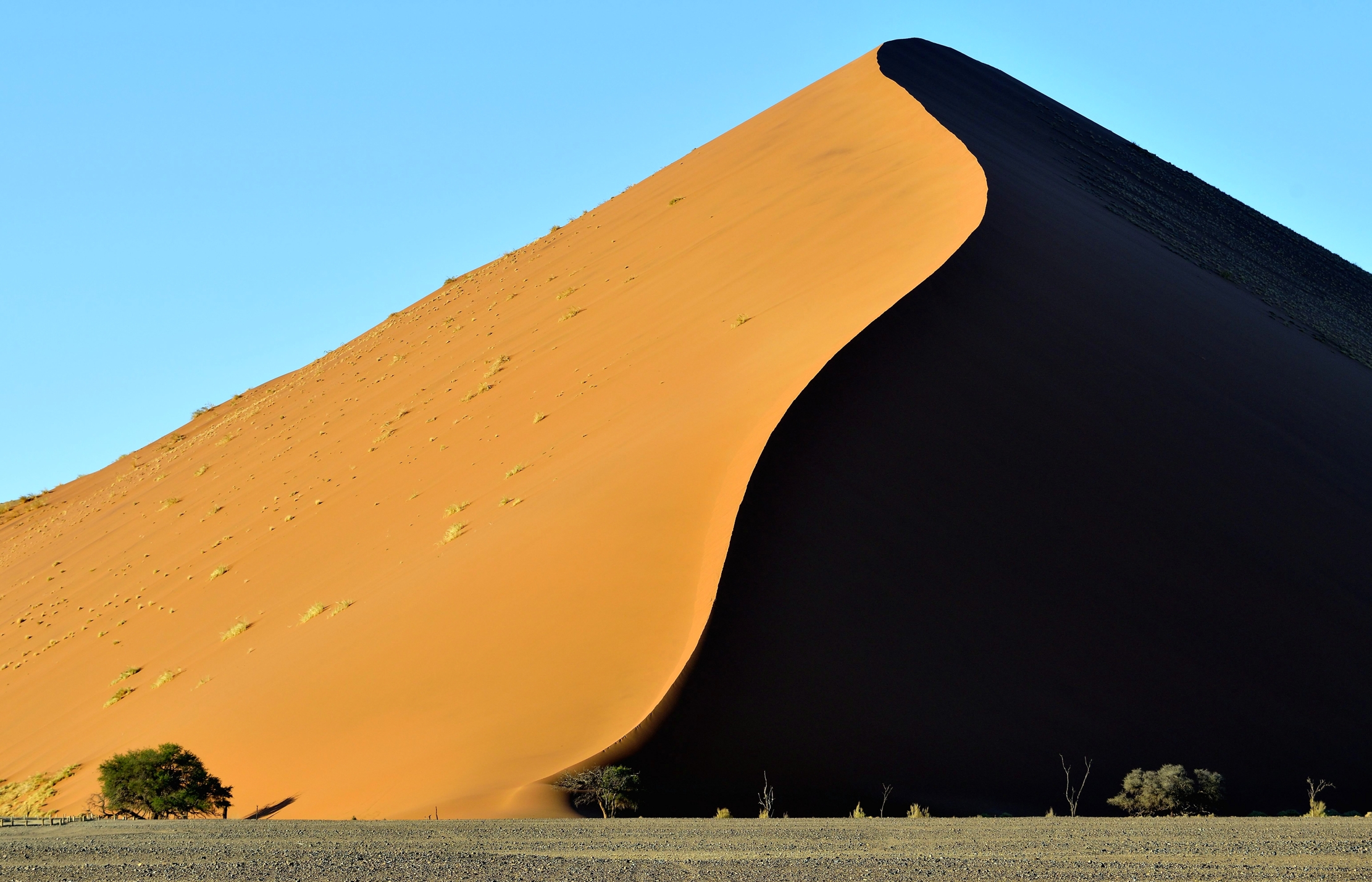 Deserto del Namib...