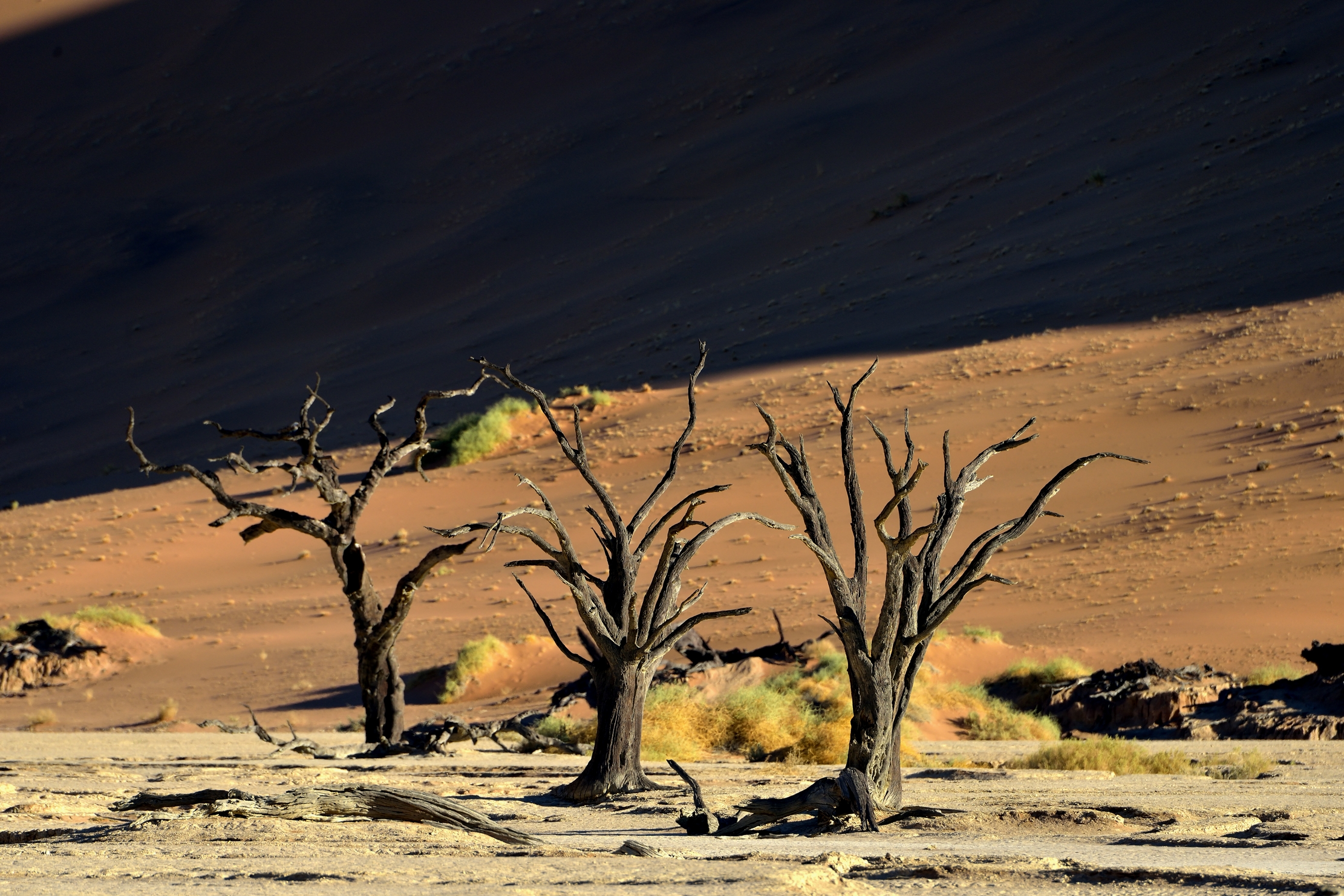 Namib Desert - Deadvlei...