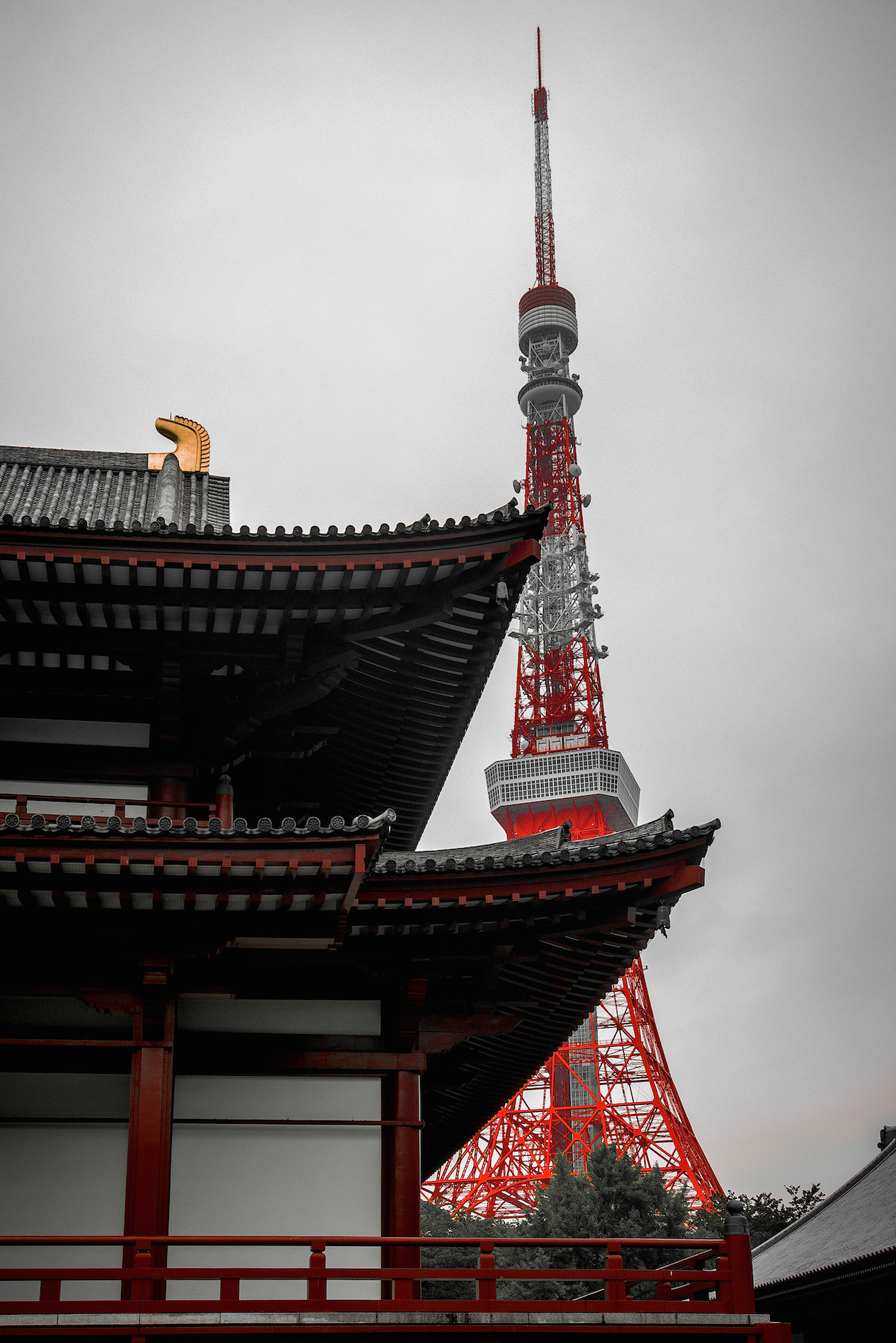 Zojo ji and Tokyo Tower ... Tradition and modernity!...