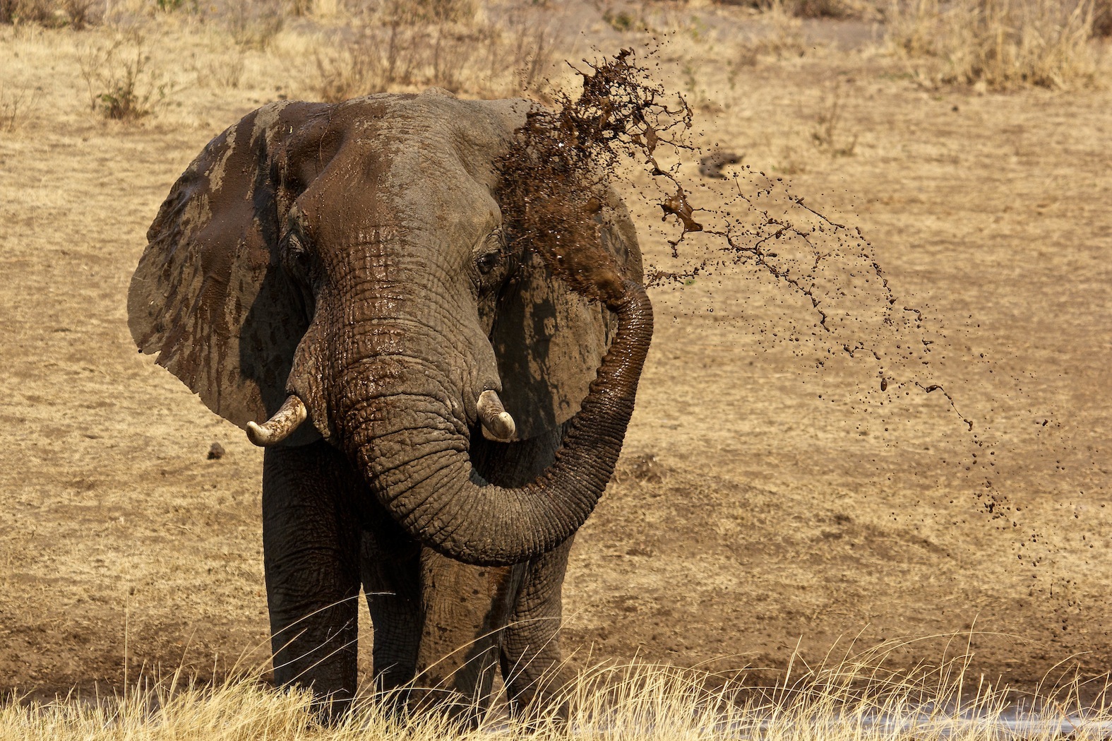 Caprivi Strip...
