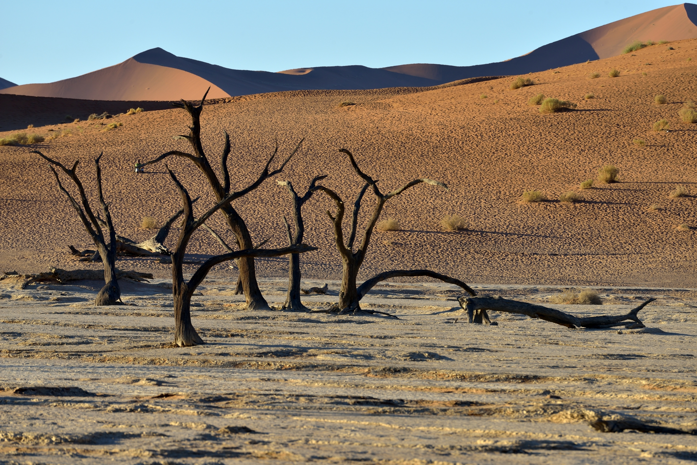 Namib Desert - Deadvlei...