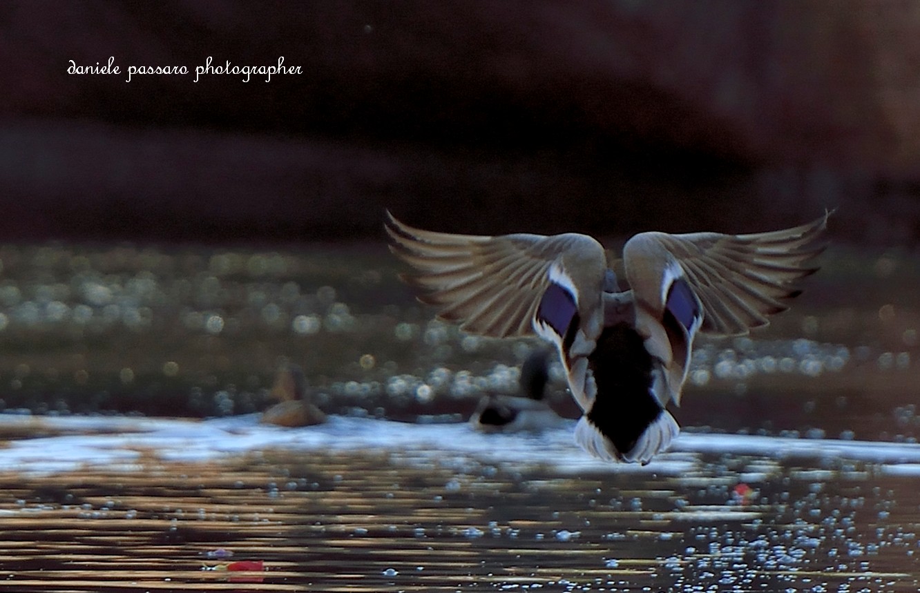 Takeoff with perfect symmetry wing...