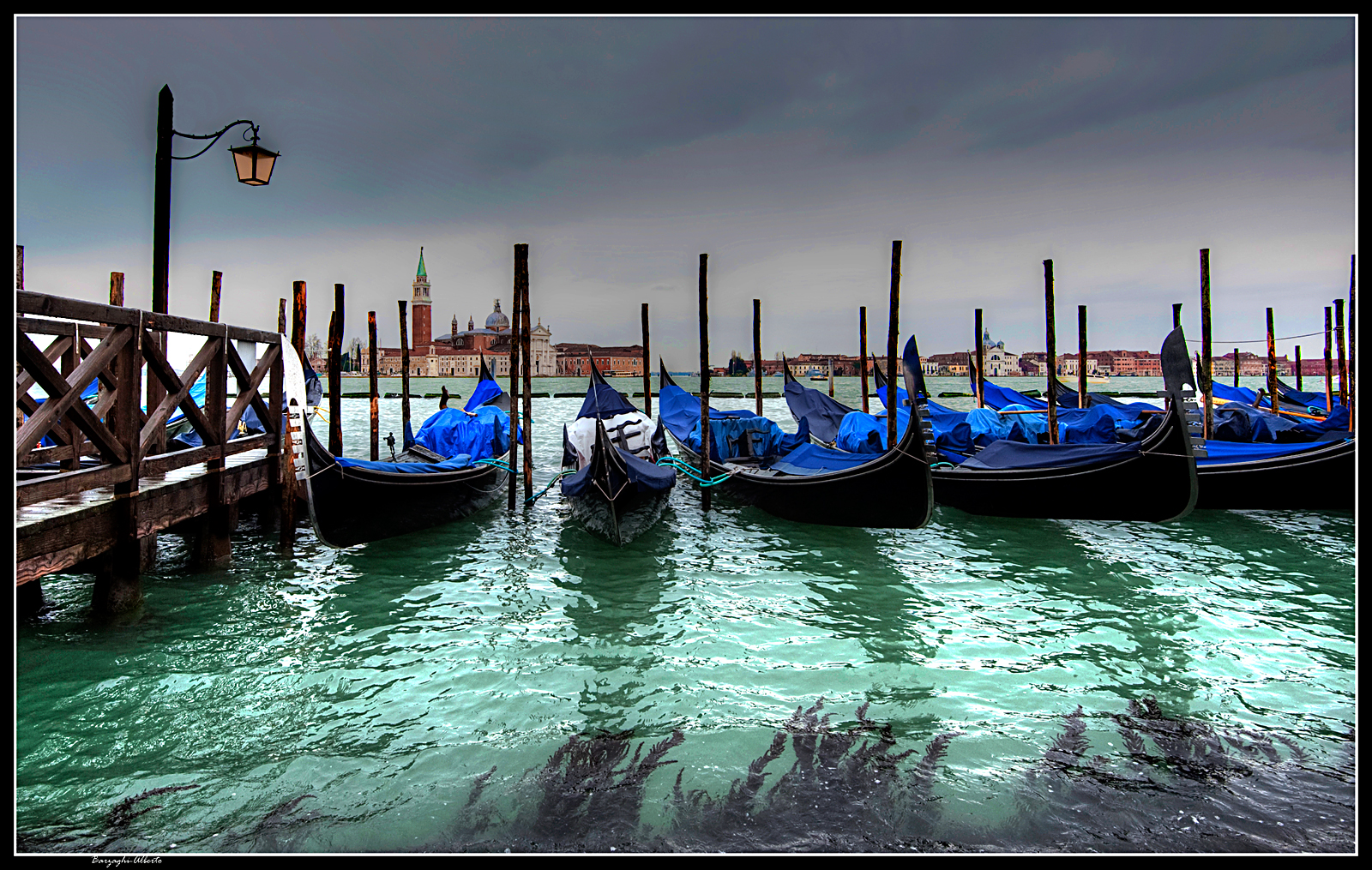 alghe a Venezia...