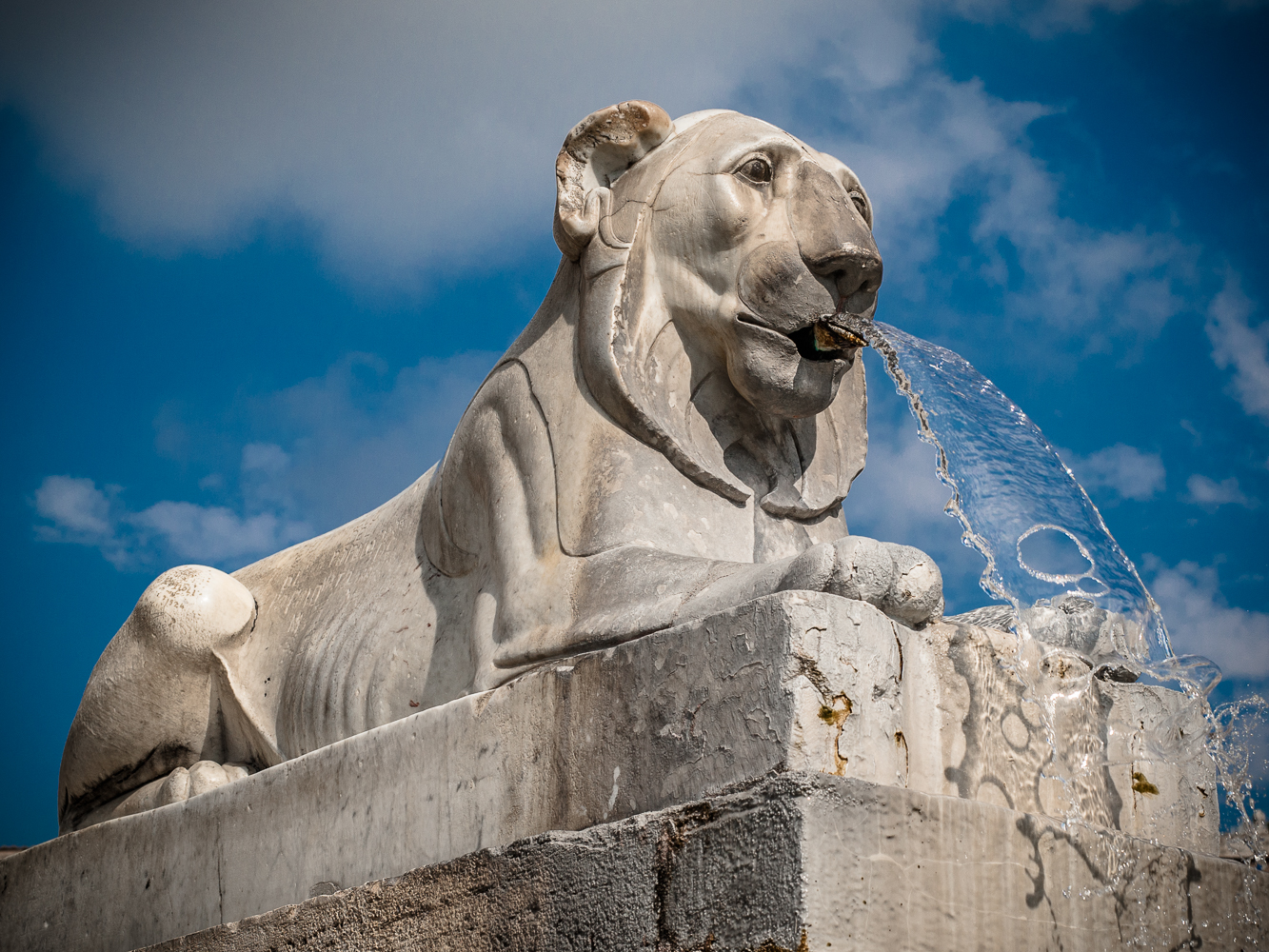 Fontana dei leoni...