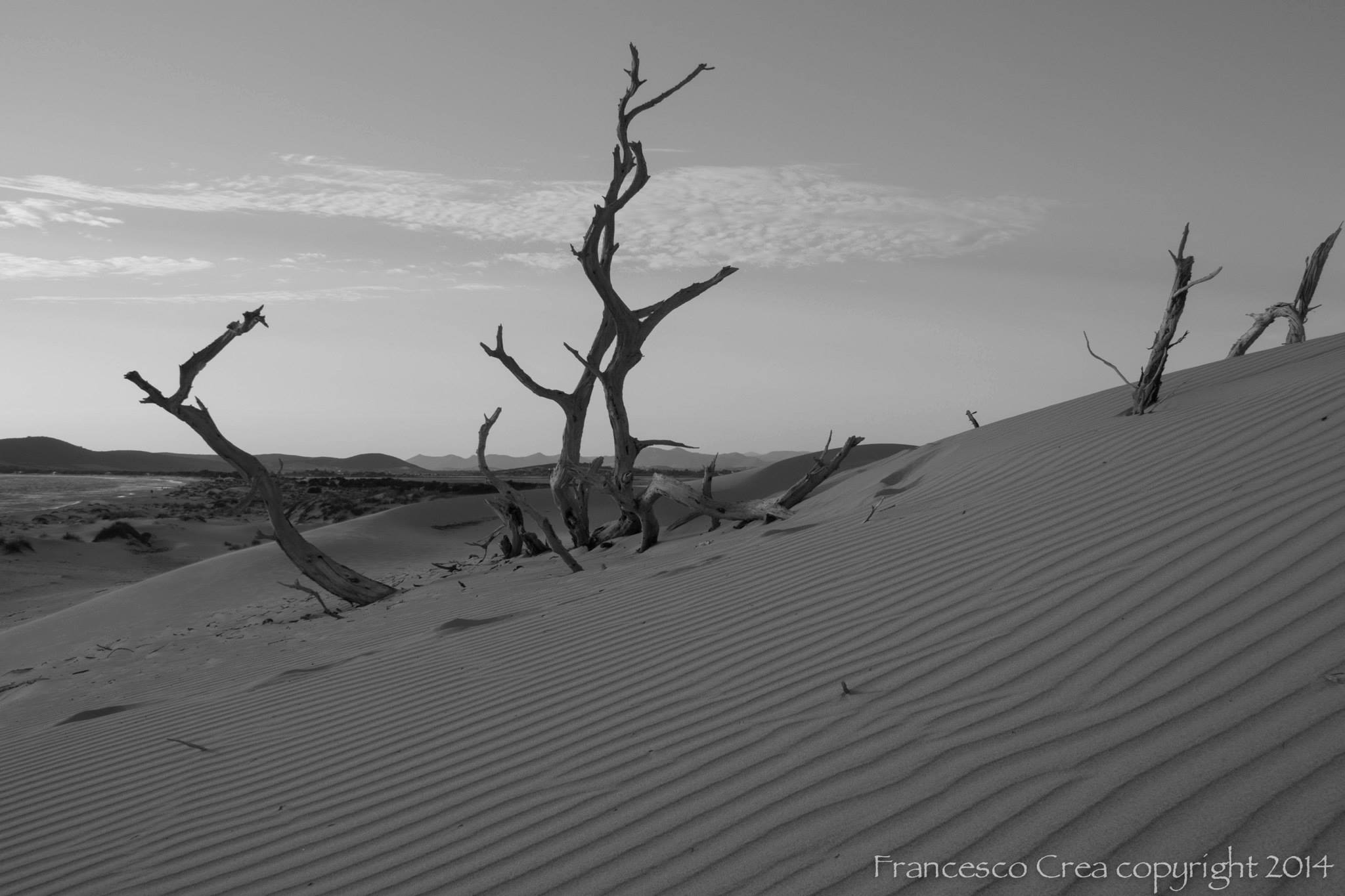 The dunes of Porto Pino...