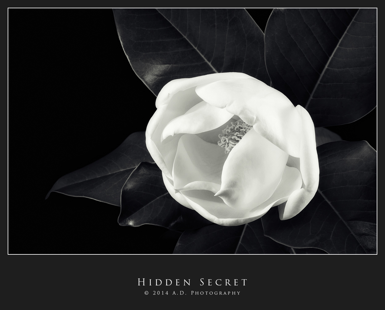 Hidden Secret...