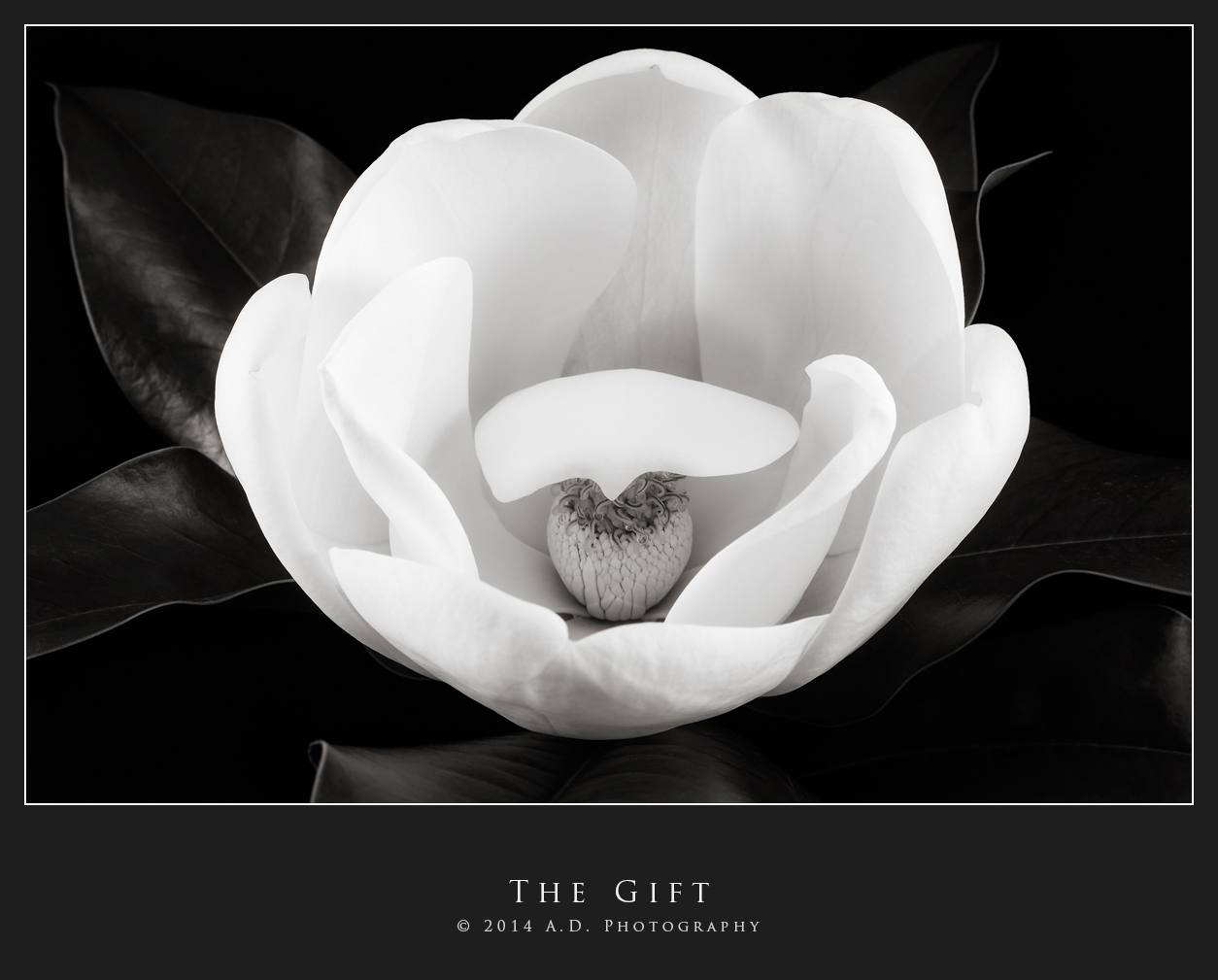 The Gift...