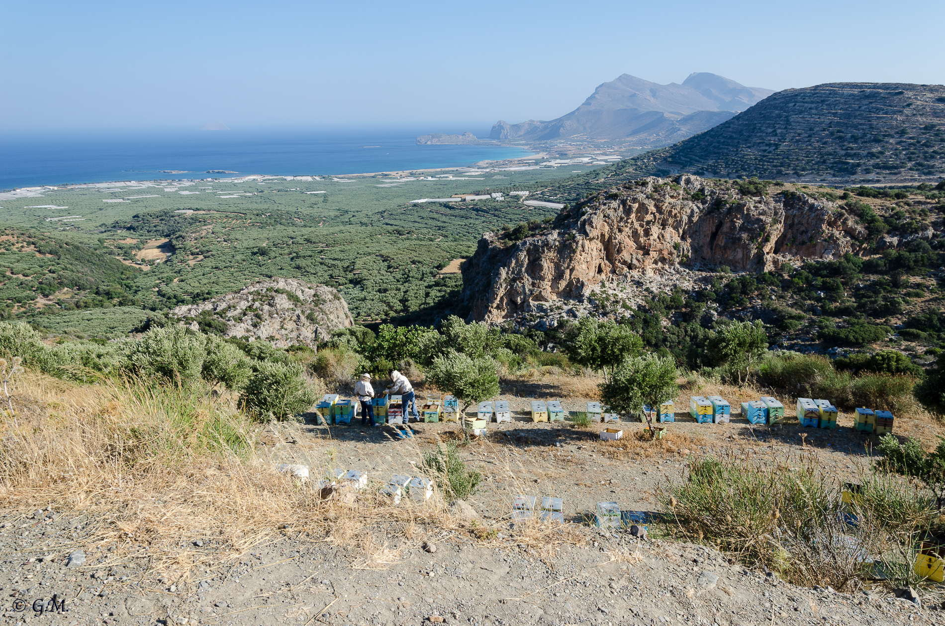 Creta Occidentale - Apicoltori...