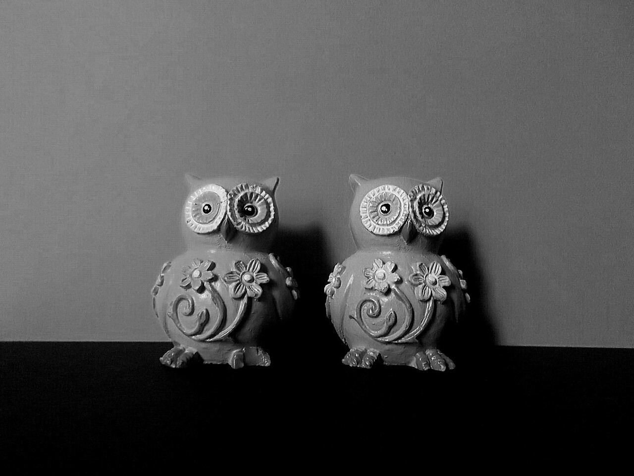 Owls b / n...