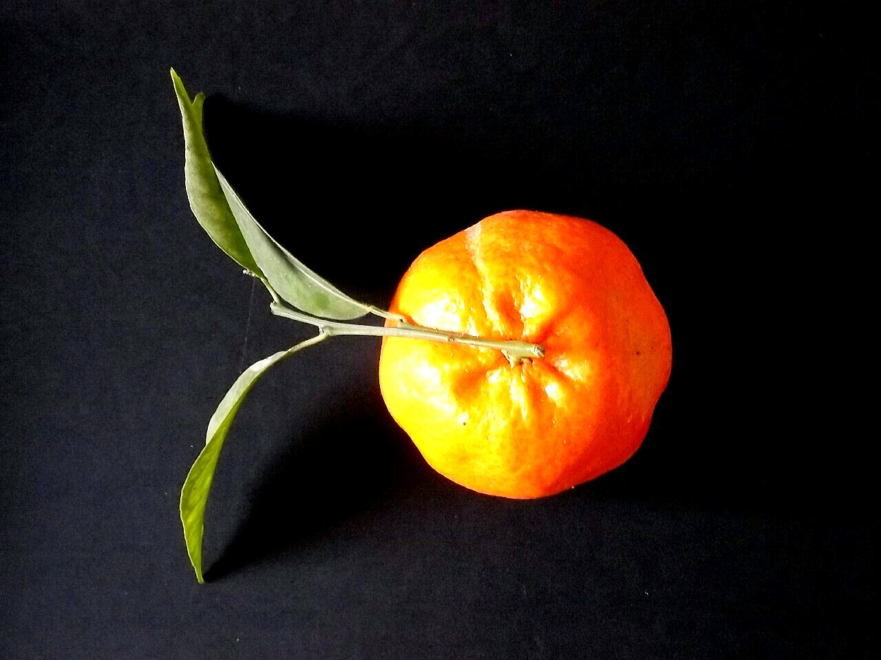 Mandarino in mille salse...