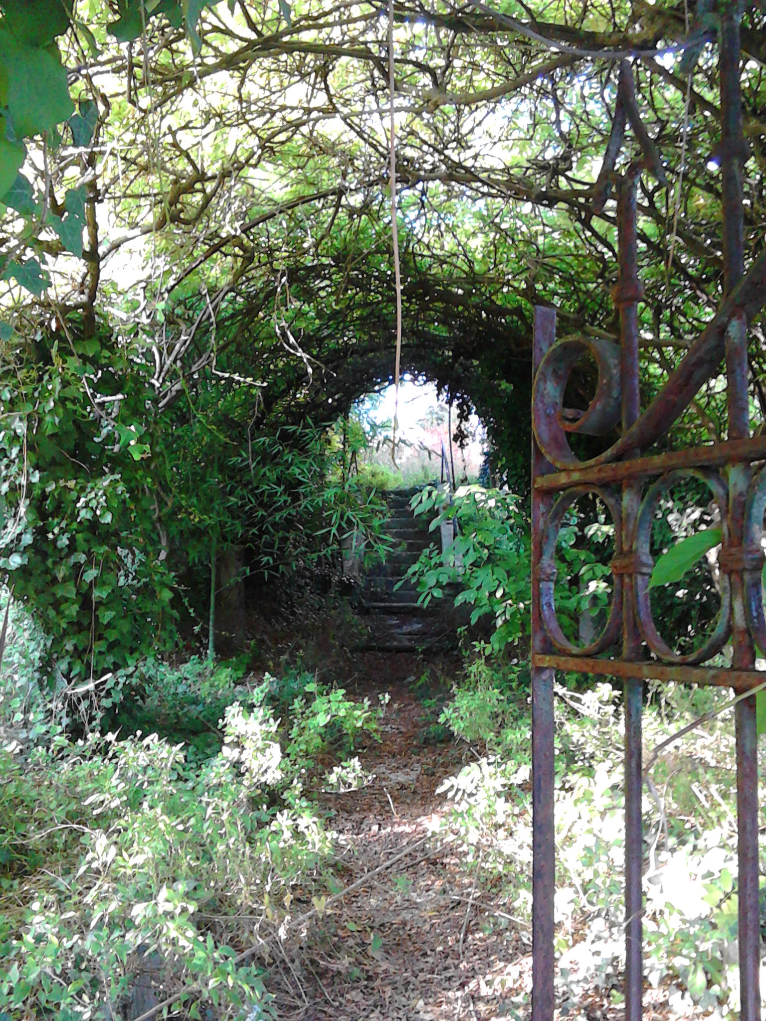 the home of the fairies...