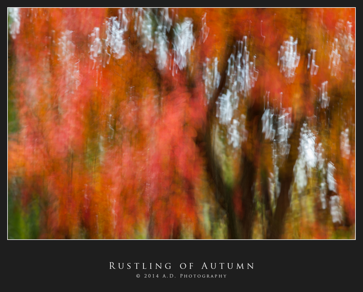 Rustling of Autumn...