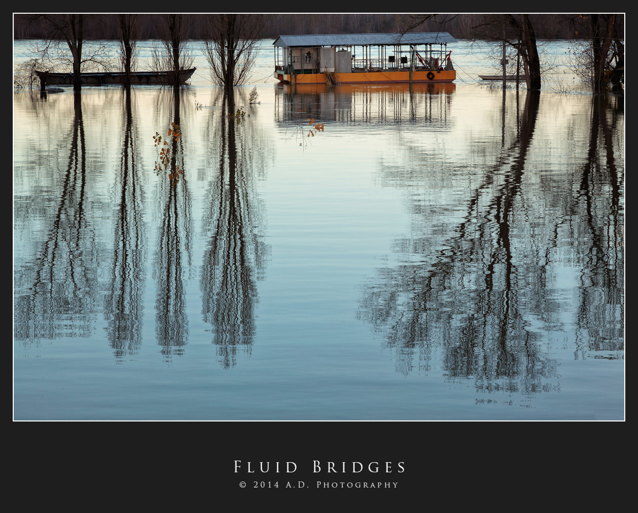 Fluid Bridges...
