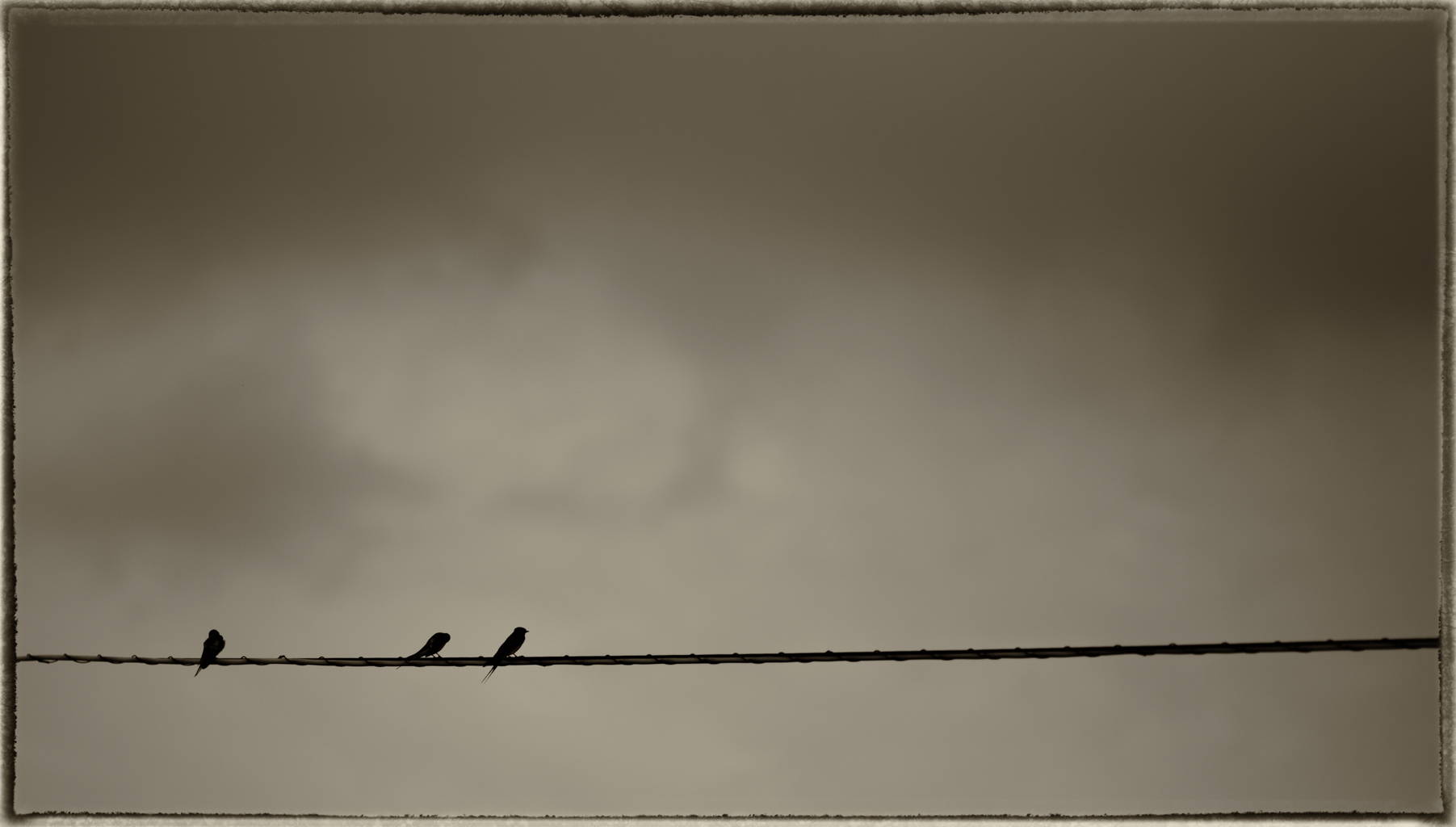 Putignano (Ba) - 2014...