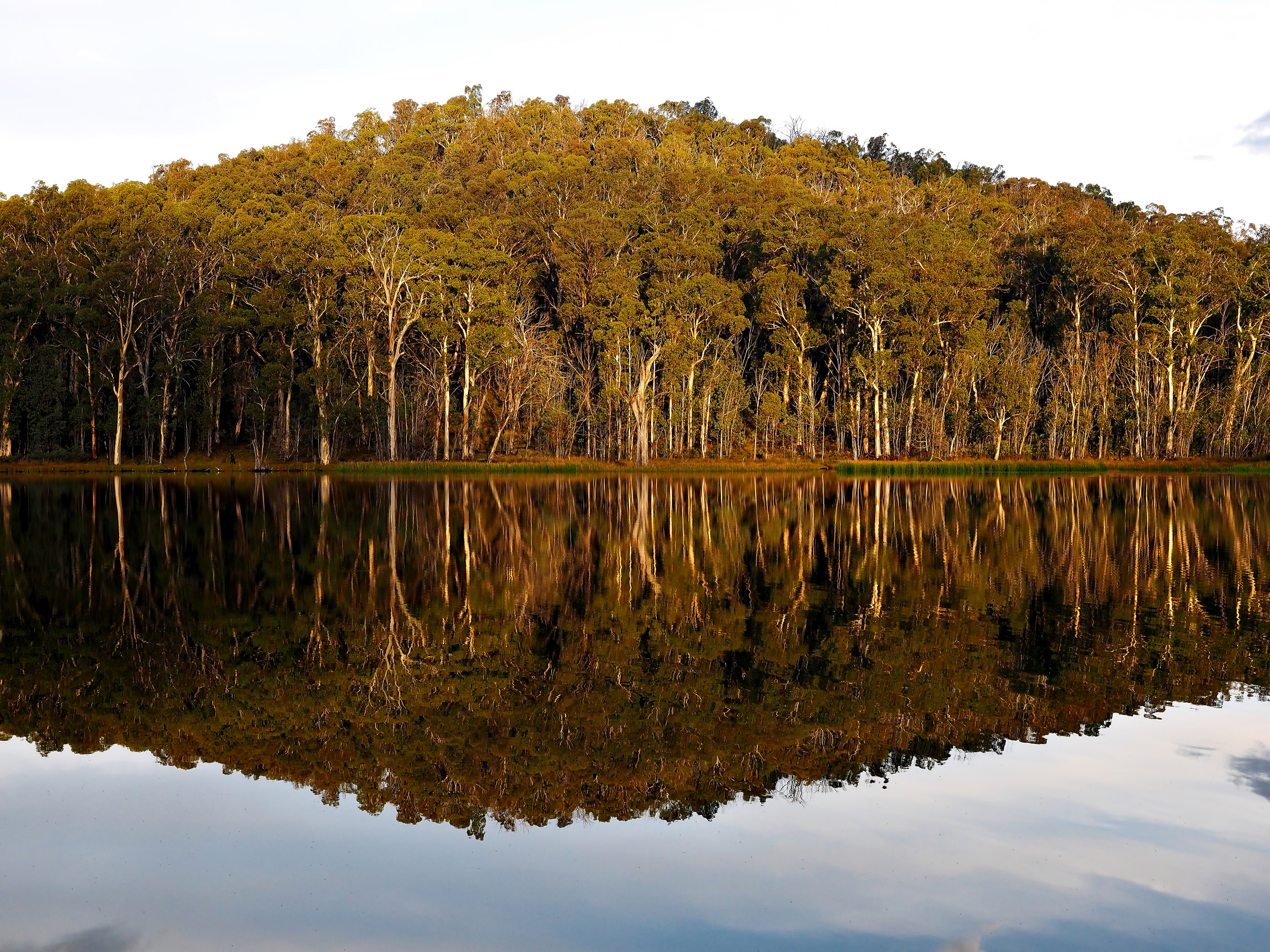 Lago Cobbler, vittoriano High Country, Australia...