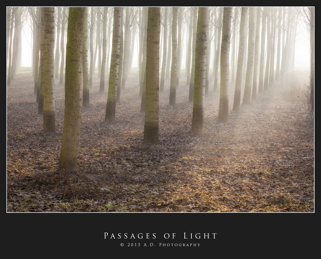 Passages to Light...