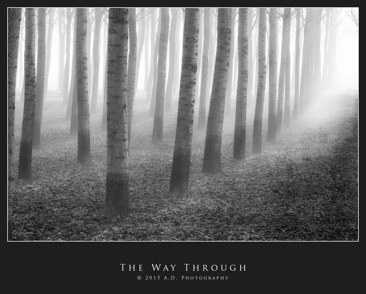 The Way Through...