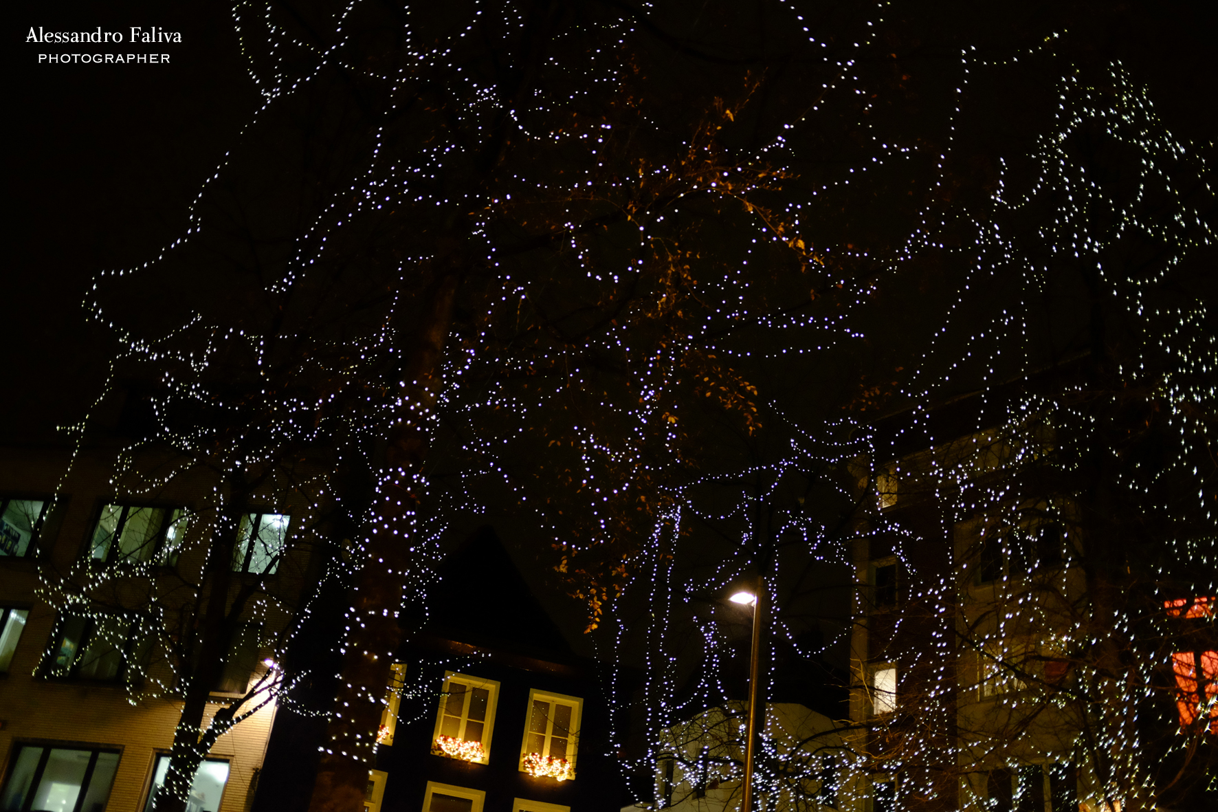 Christmas lights 2...