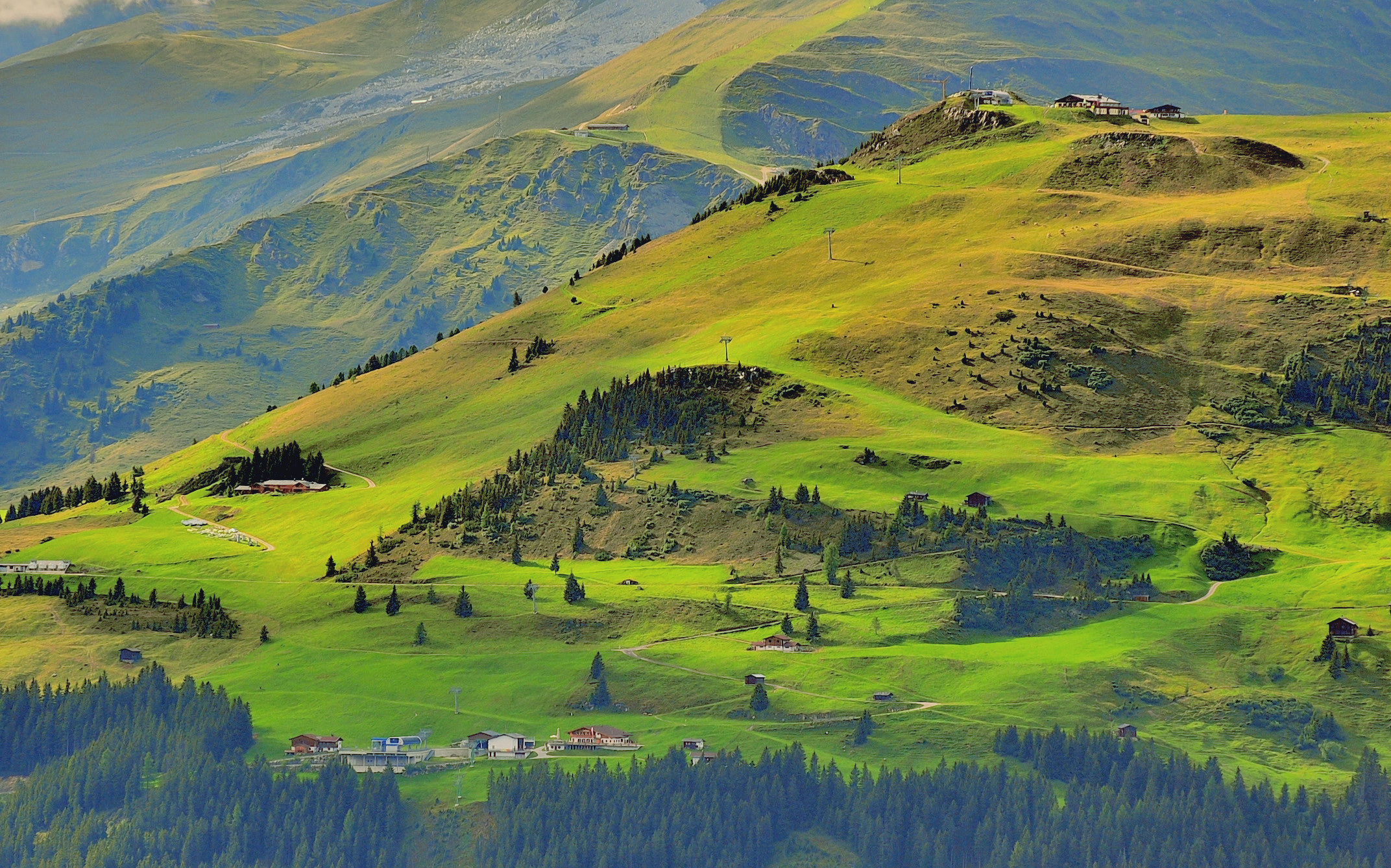 meadows of Tyrol (Mayrhofen)...