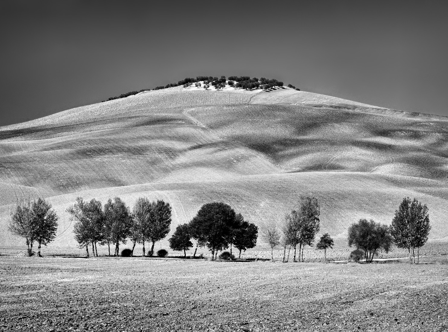 Val d'Orcia BN 12...