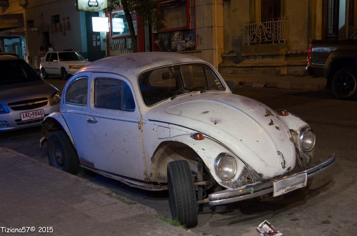 Herbie the beetle...