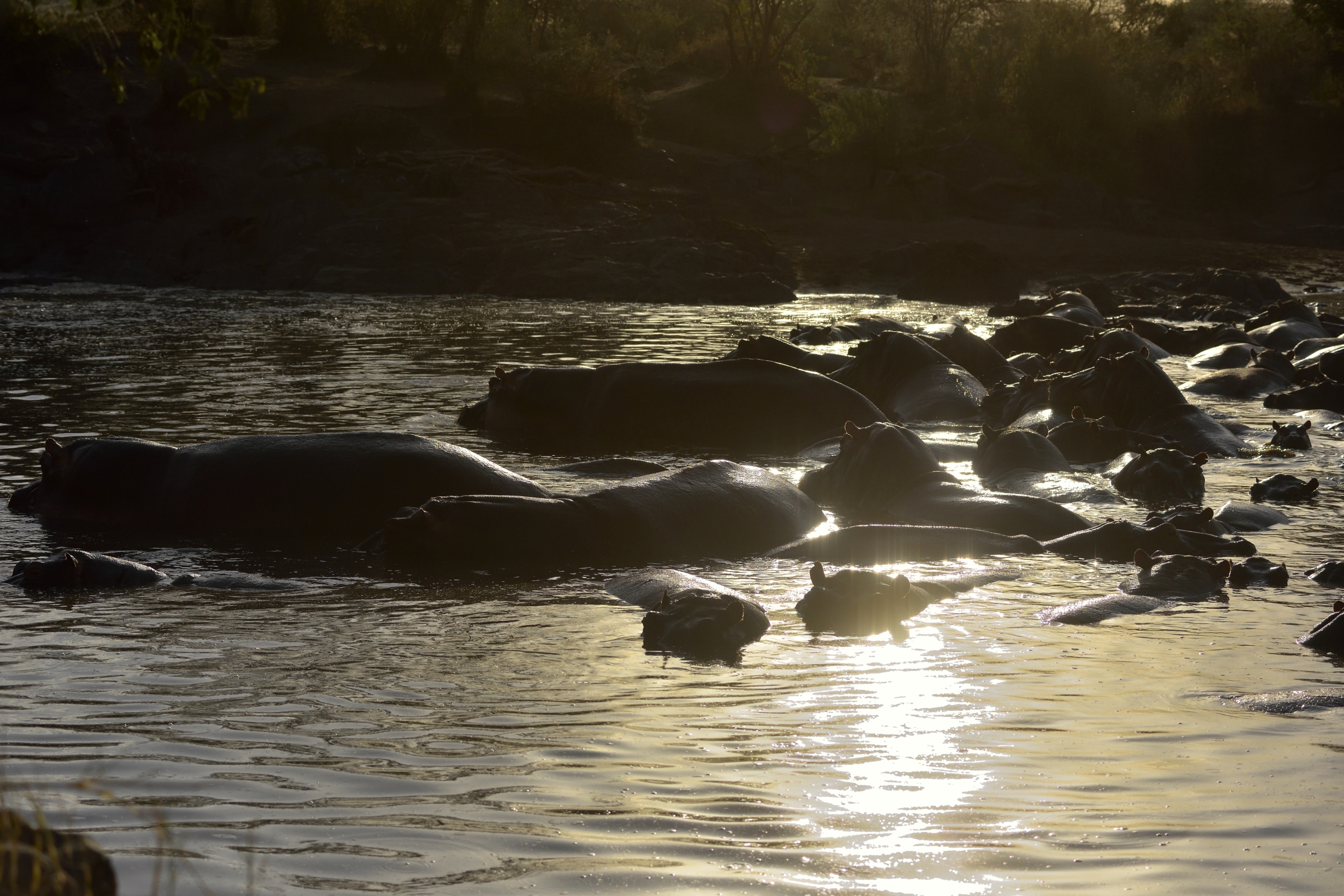 Tanzania 2015 - At sunset...