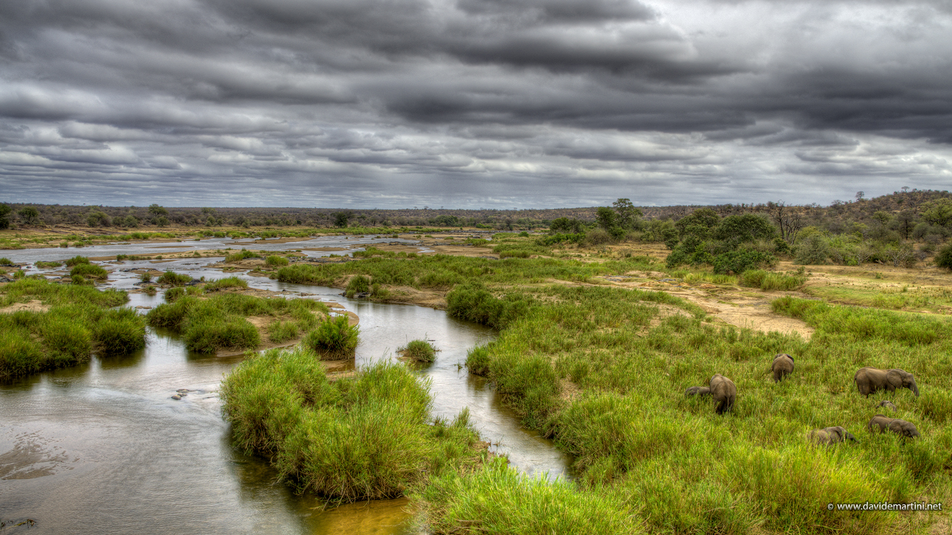 Crocodile River (knp, South Africa)...