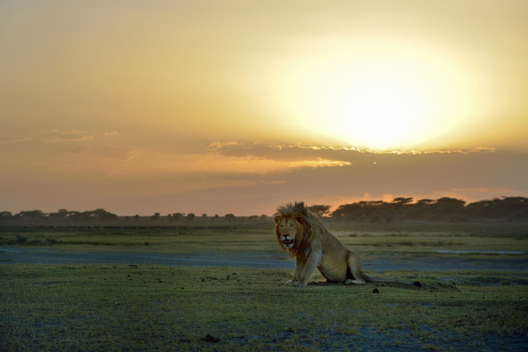 Tanzania 2015 - At Sunset...