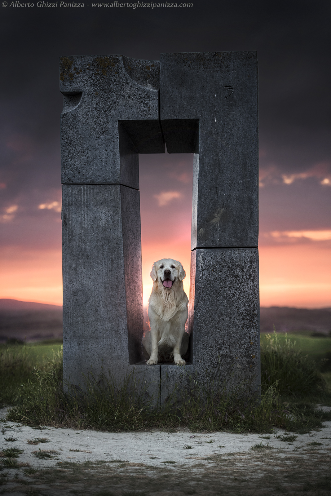 Monument Dog...