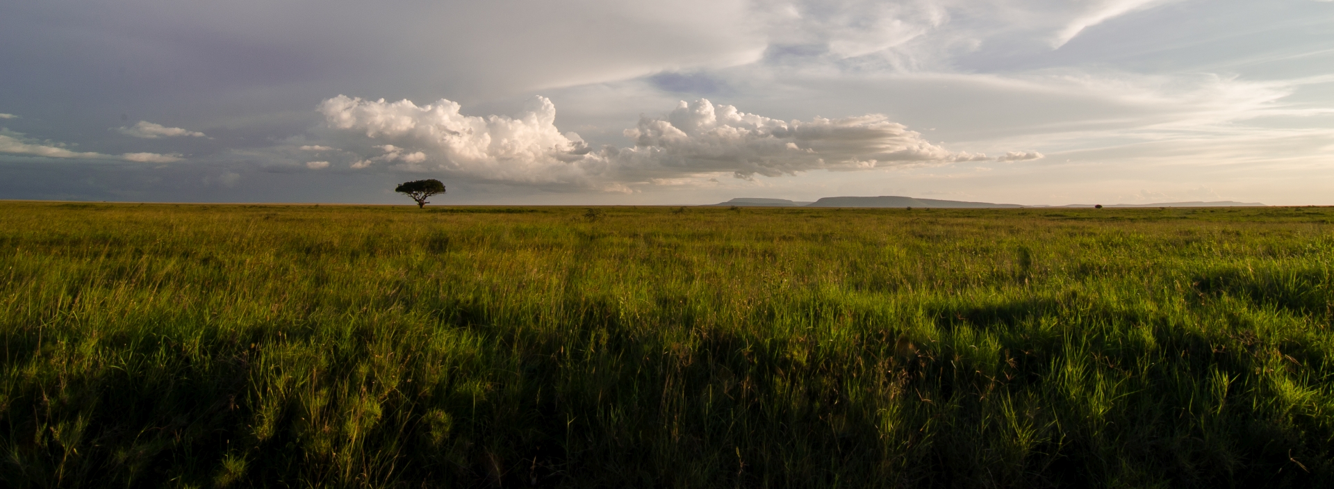 Serengeti National Park...