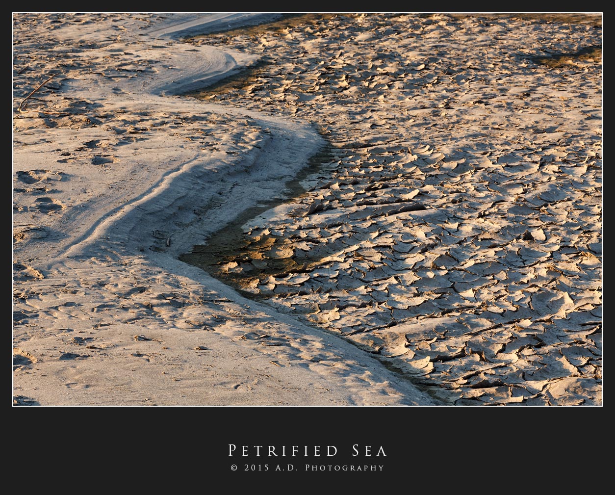 Petrified Sea...