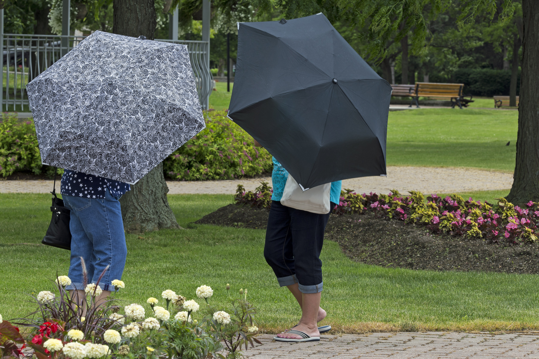 Rain in the Park...