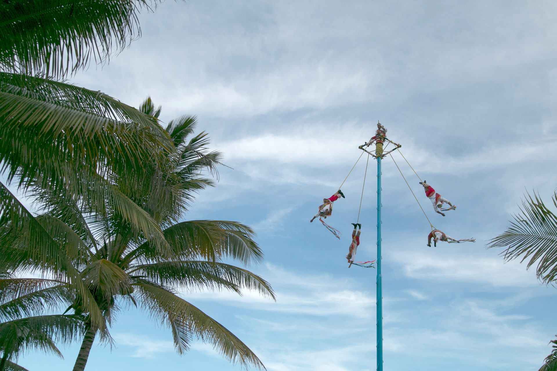 Uomini Uccello, Playa del Carmen 2014...