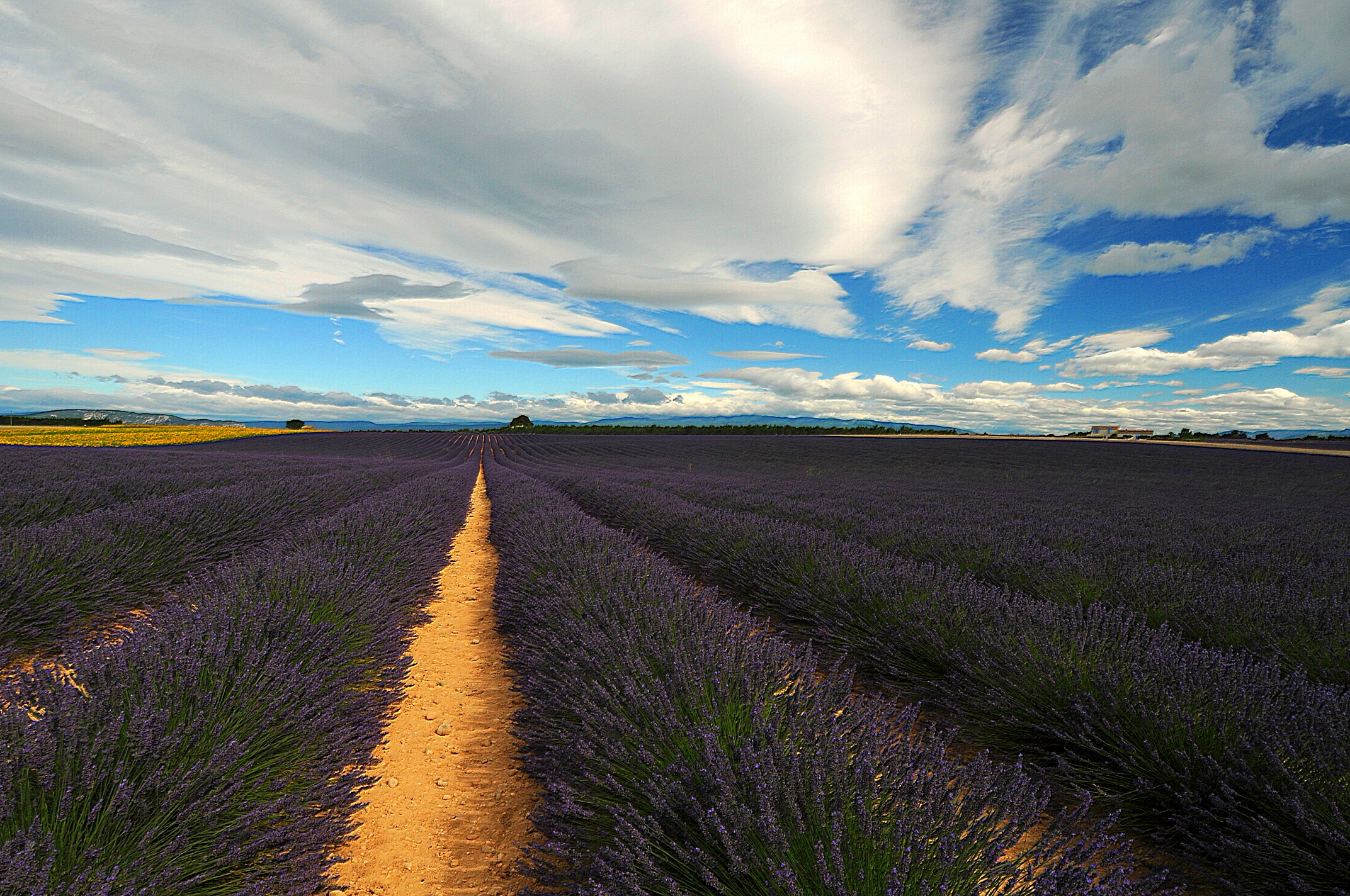 Provence...