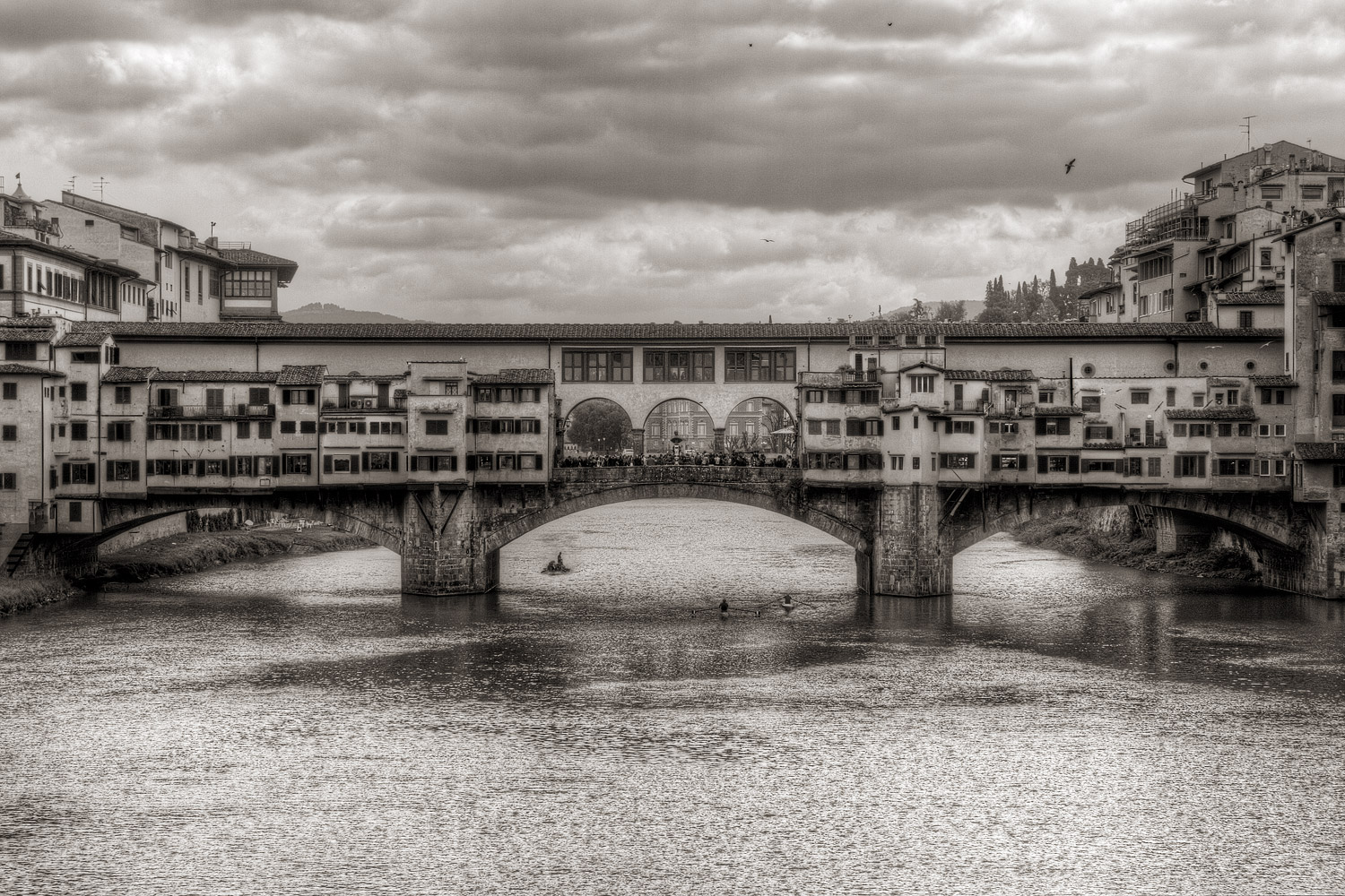 Florence in B / W...