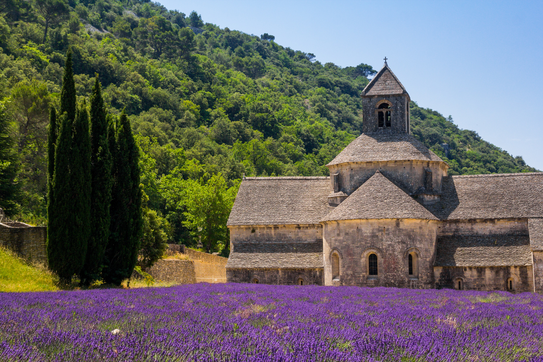 Abbey of Sénanque...