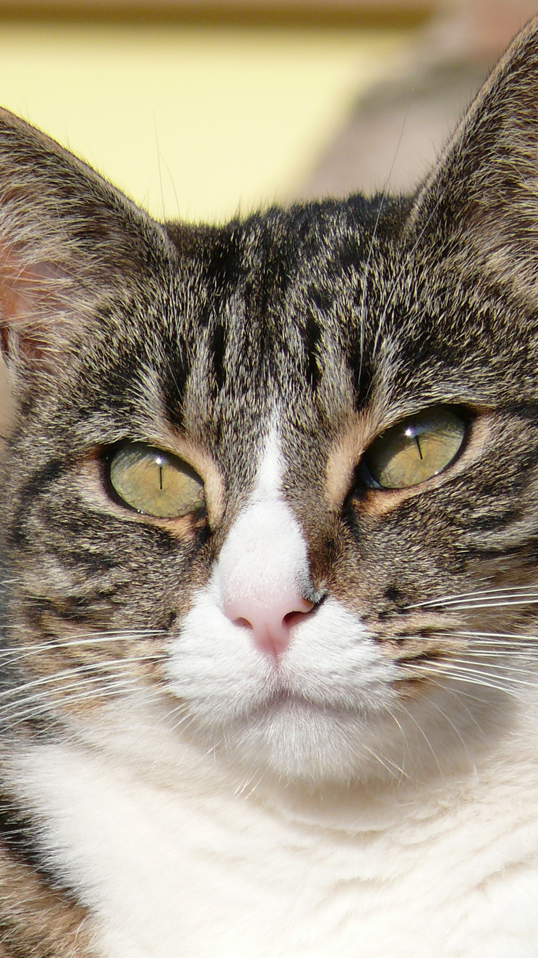 Sguardo...