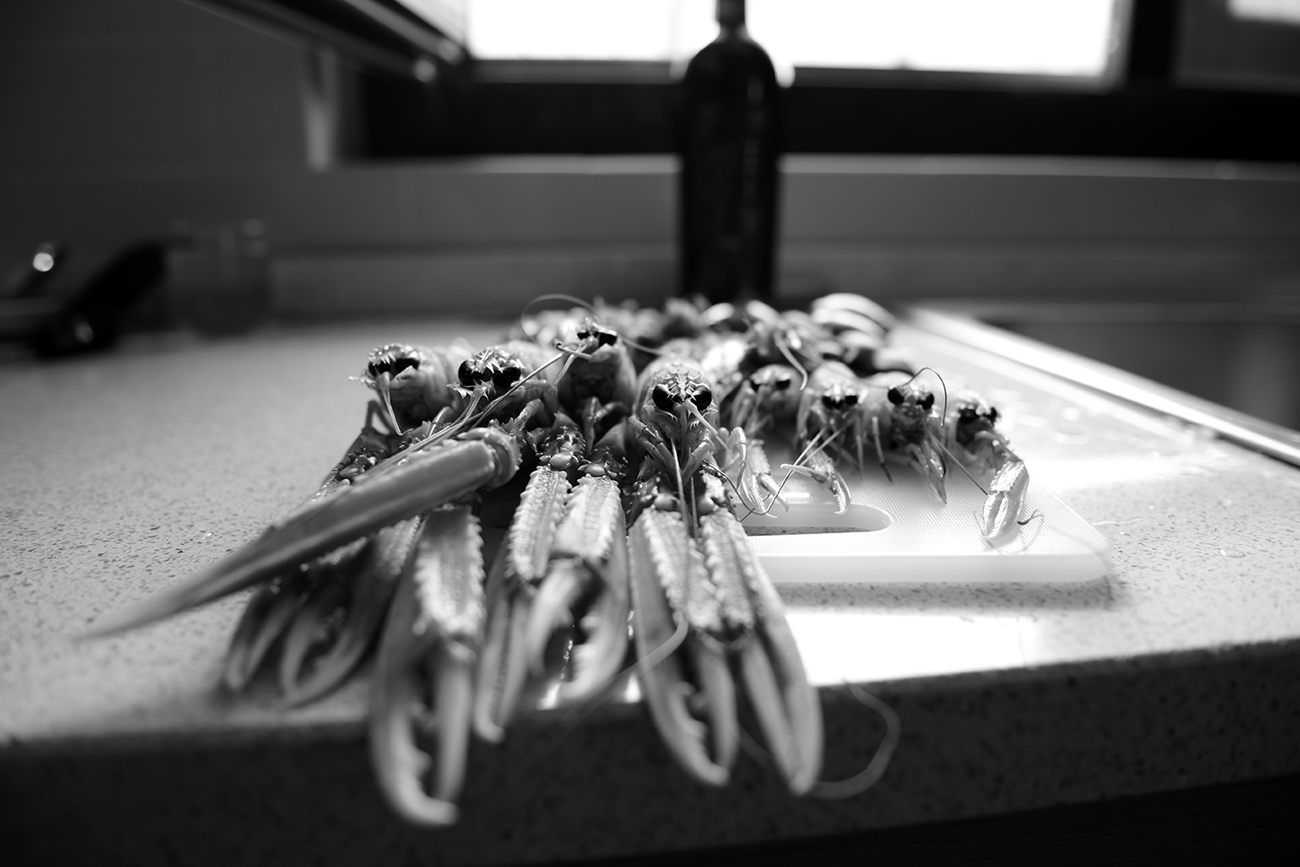 Untitled Photo...