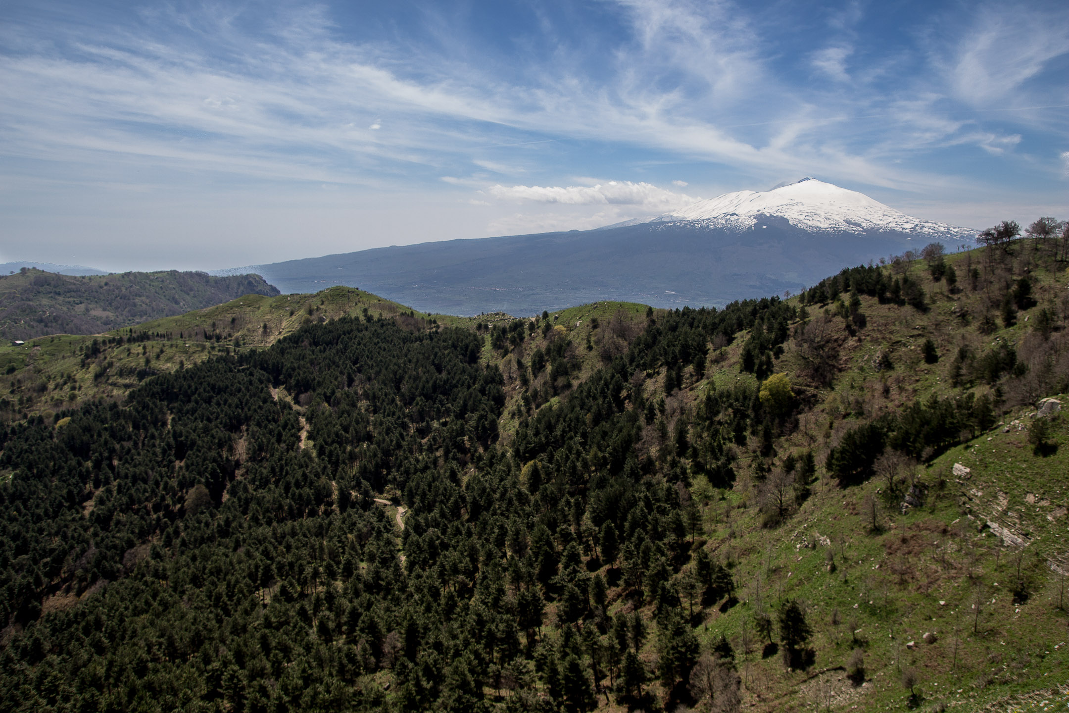 Etna from Bosco Malabotta...