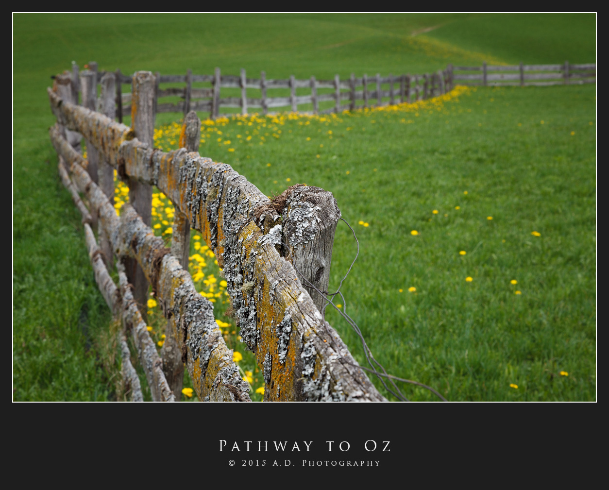 Pathway to Oz...