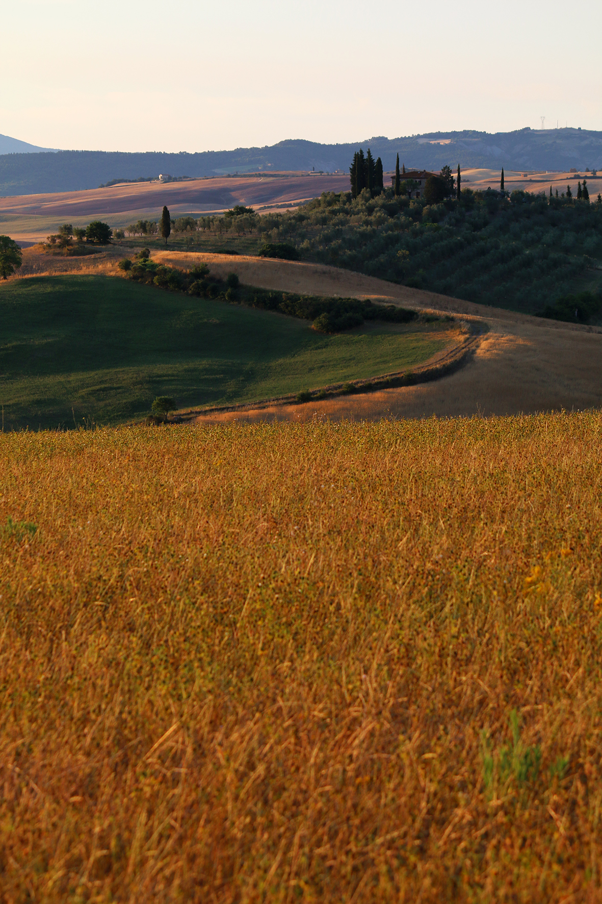 First light in Val d'Orcia .....