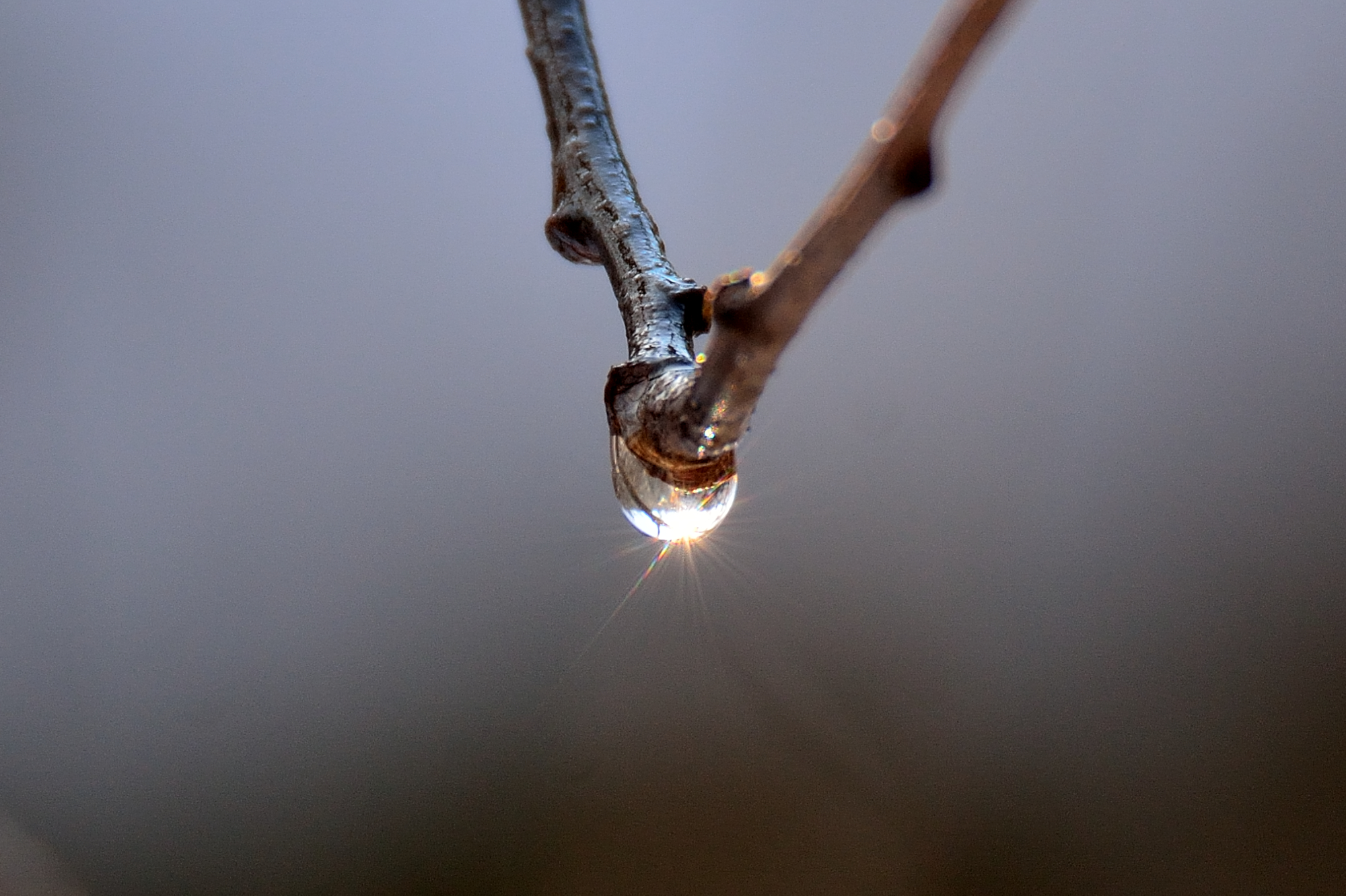 drop...